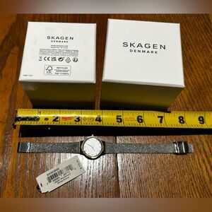 Skagen Silver Mesh Watch
